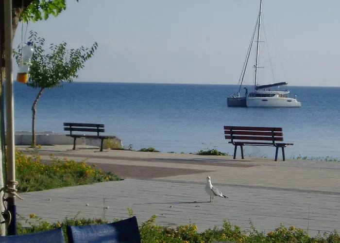 Guest house Pantelis Poros (Kefalonia)